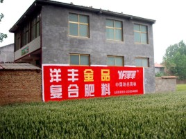 商洛如何让墙体广告展现最大化效果